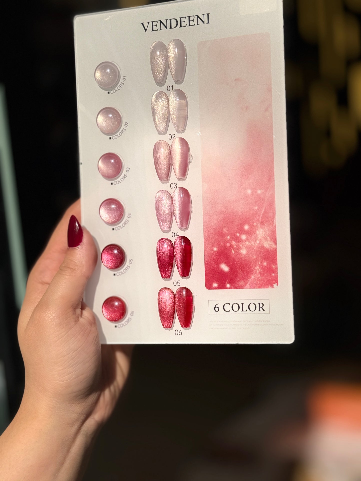 Vendeeni nail set box